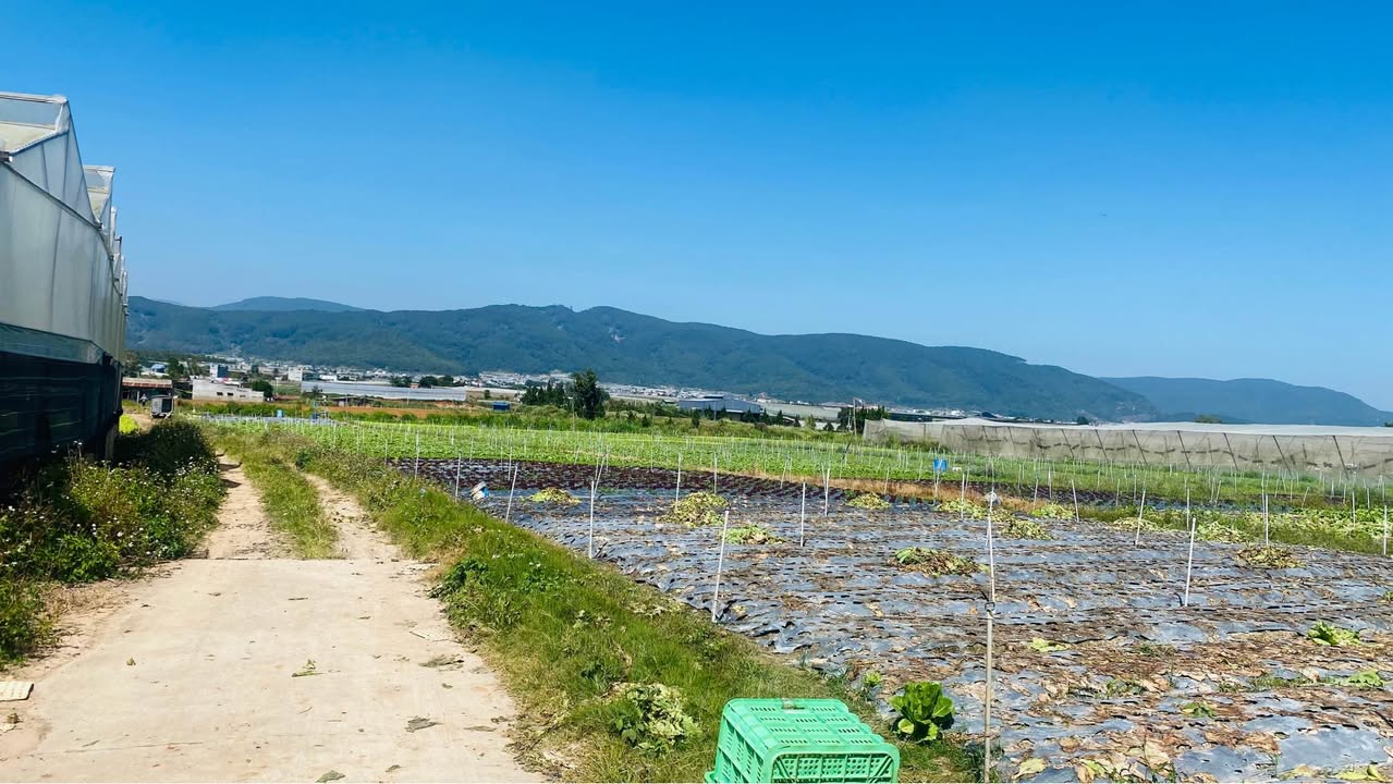 Đất nông nghiệp Ka Đơn 8600m² giá 5.59 tỷ - Gần Cầu Ông Thiều!