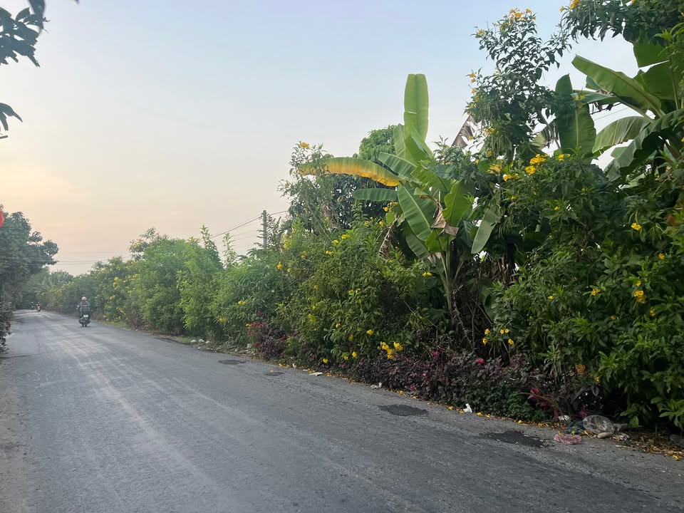 Đất mặt tiền đường HL66, 1050m² giá 2.95 tỷ - Thích hợp xây dựng kho vựa nông sản