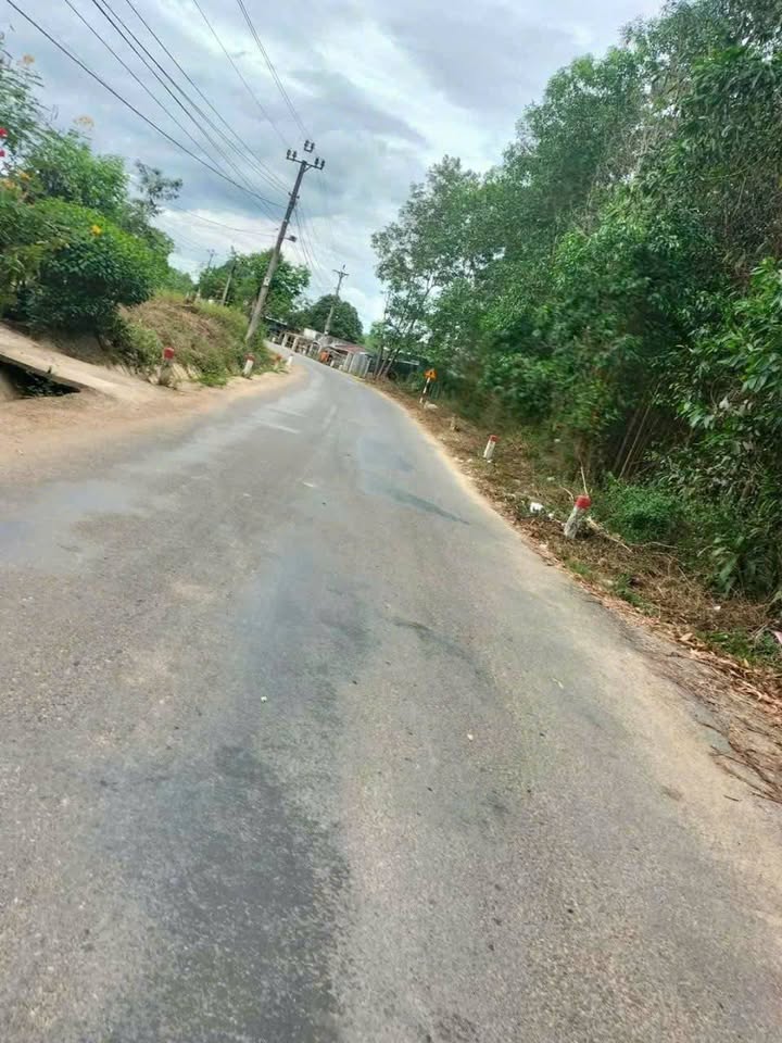 Đất mặt tiền Tỉnh lộ 8B xã Khánh Trung 1026m² giá 1.45 tỷ - Cần bán gấp!