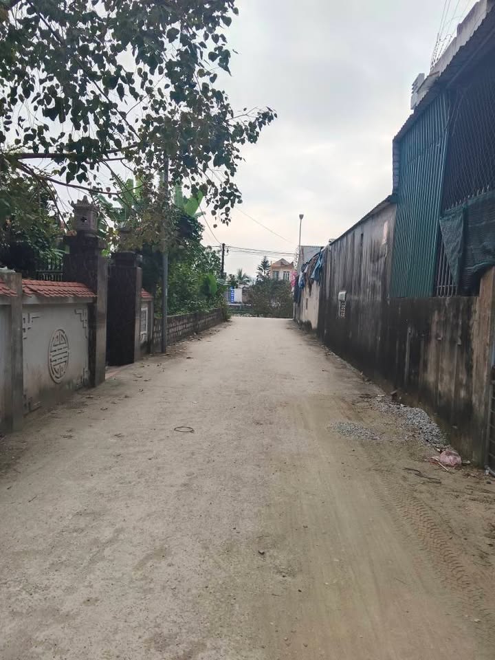 Đất nền tiềm năng Phường Quảng Hưng 110m² giá 1 tỷ - Chính chủ bán gấp trước Tết!