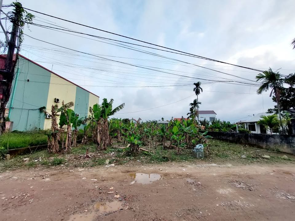 Đất mặt tiền Nguyễn Hạnh, 619m² giá 9 tỷ - Cơ hội đầu tư hấp dẫn!