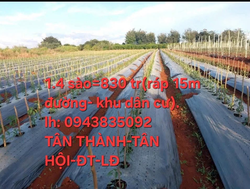 Đất nền Tân Thành, Đức Trọng 5040m² giá 830 triệu - Mặt tiền 15m, thương lượng!