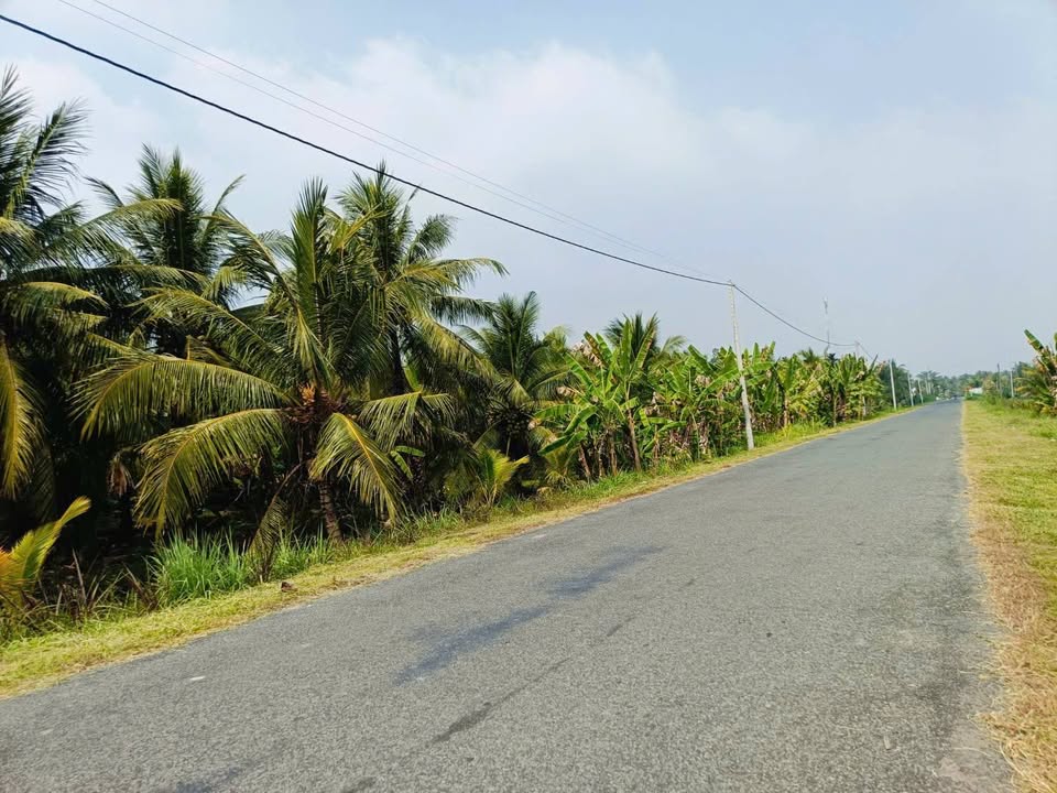 Đất bán tại xã Trung Ngãi, Vũng Liêm, 2288m² giá 21.738 tỷ - Vị trí đắc địa, giao thông thuận lợi!