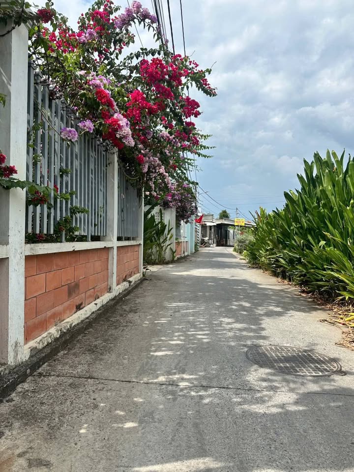 Đất nền Phường 3, Thành phố Vĩnh Long 76,6m² giá 720 triệu - Cơ hội đầu tư hấp dẫn!