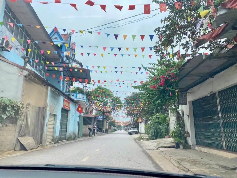 Đất nền tại Phường An Bình, Thị xã Thuận Thành, 98m² - Đầu tư sinh lời nhanh!