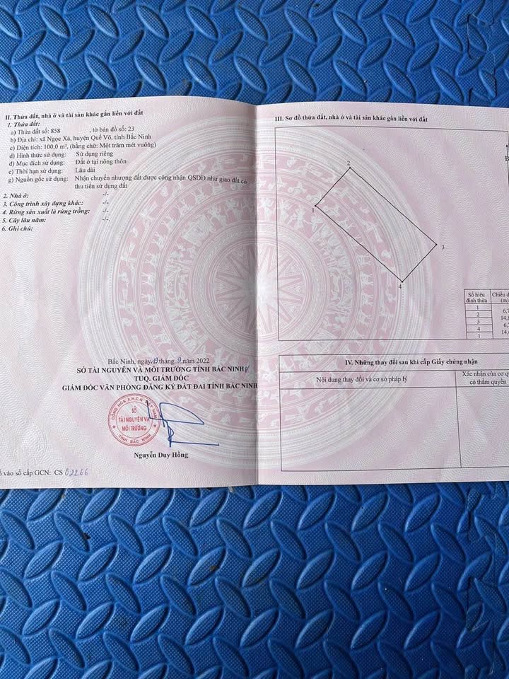 Đất thổ cư Đào Viên, 100m² giá thỏa thuận - Đường chính gần hồ điều hòa!