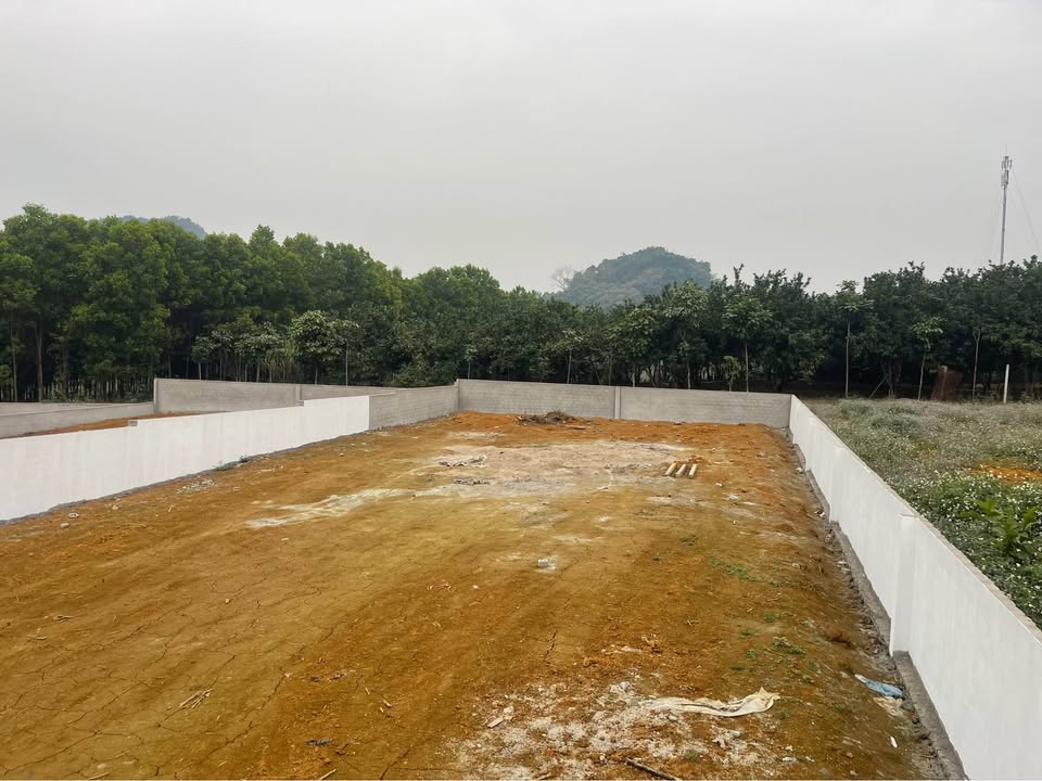 Đất nền Kim Bôi 625m² giá 600 triệu - Cơ hội đầu tư hấp dẫn!