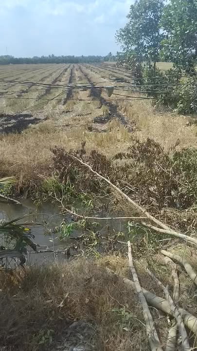 Đất nông nghiệp 11 công tại Xã Phú Điền, Đồng Tháp - Giá chỉ 3.74 tỷ!