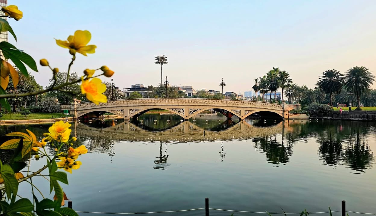 Shophouse Phường 2 Tân Bình 172m² giá 50 tỷ - Đầu tư sinh lời ổn định!