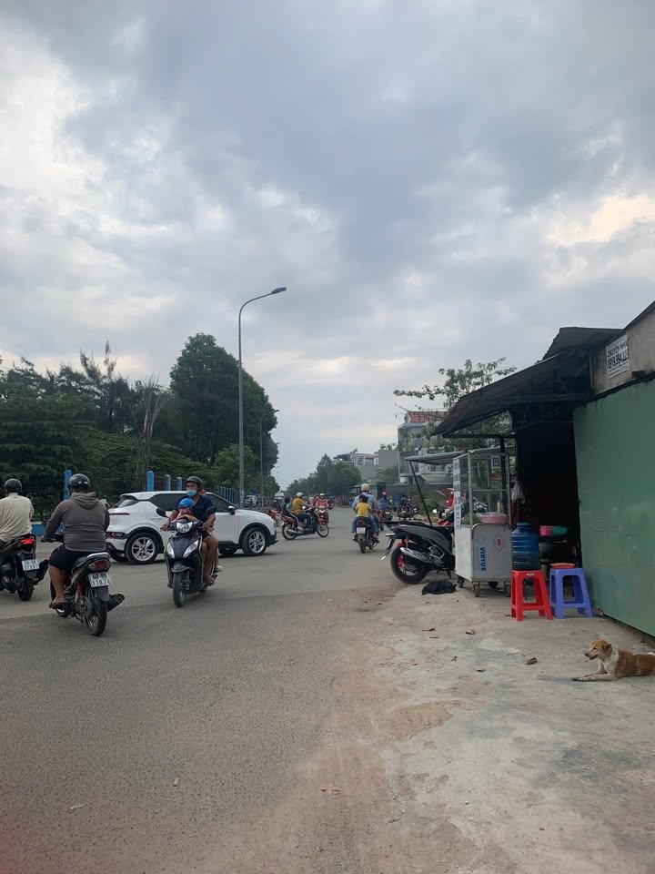 Đất nền 1228m² Nguyễn Xiển, Q9 - Kế Vinhomes - Giá 35 Tỷ