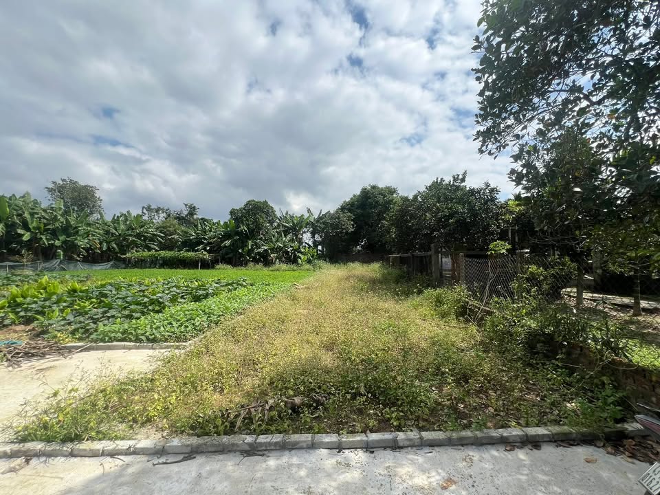 Đất nền Xã Hòa Châu, Huyện Hòa Vang, Đà Nẵng 182m² - Ô tô vào tận nơi!