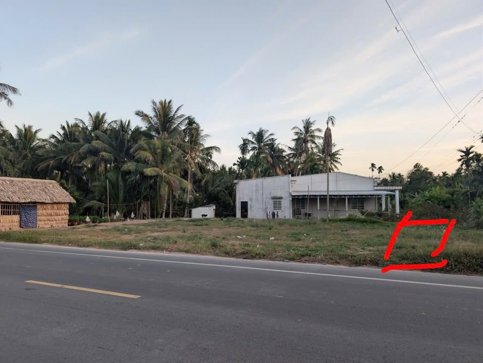 Đất nền thổ cư 120m² tại Tỉnh lộ 913, Trà Vinh - Giá chỉ 600 triệu!