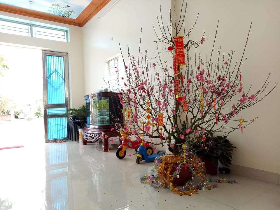 Đất nền Hoàng Diệu Thái Bình 52m² giá chỉ 9xx triệu - Tiềm năng đầu tư cao!