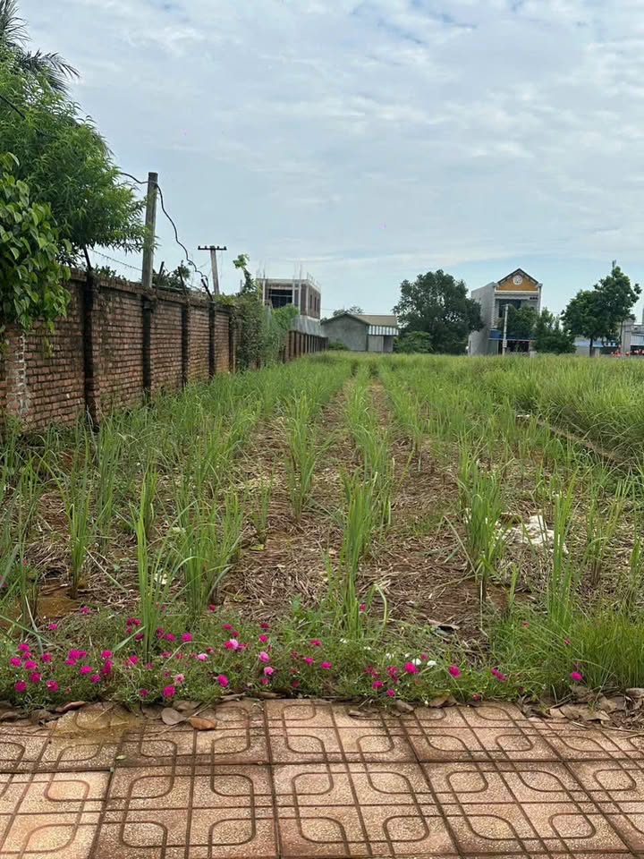 Đất nền tại Phú Cát 223,3m² giá 4,25 tỷ - Đầu tư sinh lời ngay!