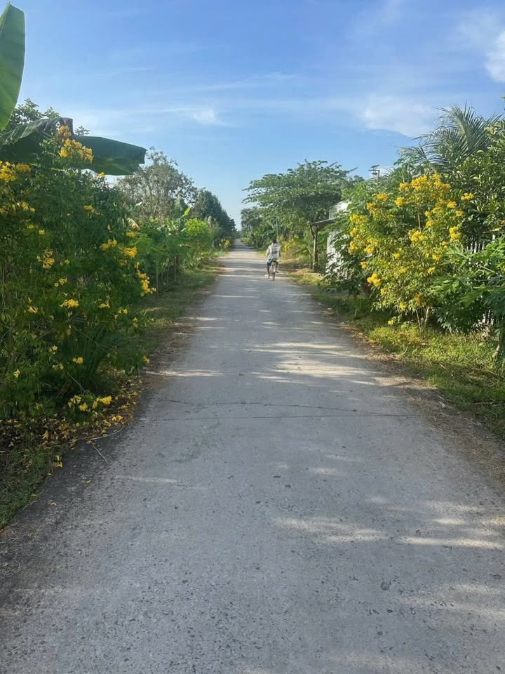 Đất nền xã Nhơn Ái, Huyện Phong Điền, 270m² giá chỉ 1.2 tỷ - Cơ hội đầu tư tuyệt vời!