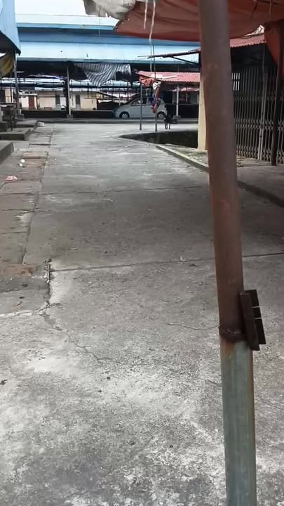 Đất nền 100m² tại xã Nam Cương, Sóc Sơn - Giá chỉ 3 triệu/m²