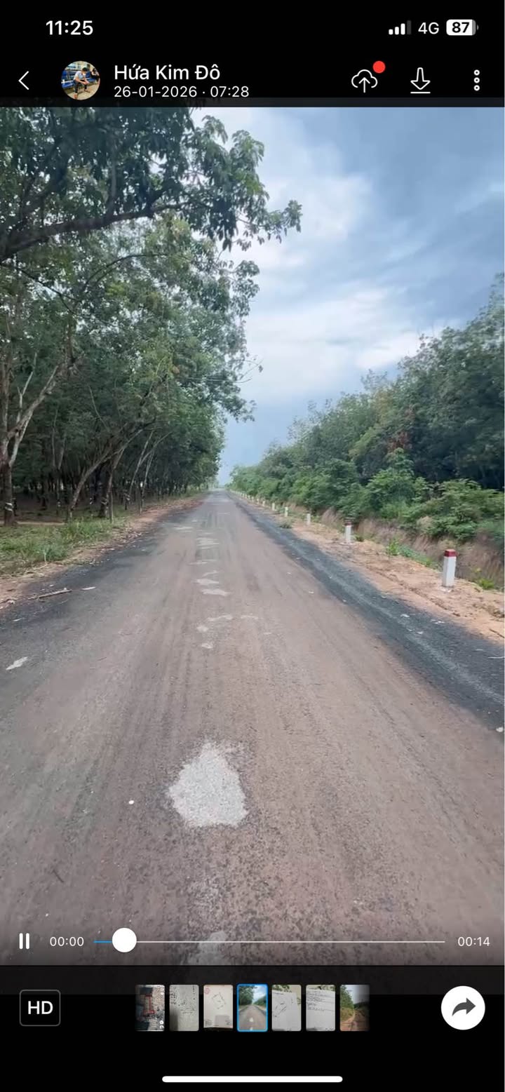 Đất nông nghiệp xã Tân Thành, huyện Tân Châu, Tây Ninh 330.000m² giá 22.5 tỷ - Đầu tư sinh lời!