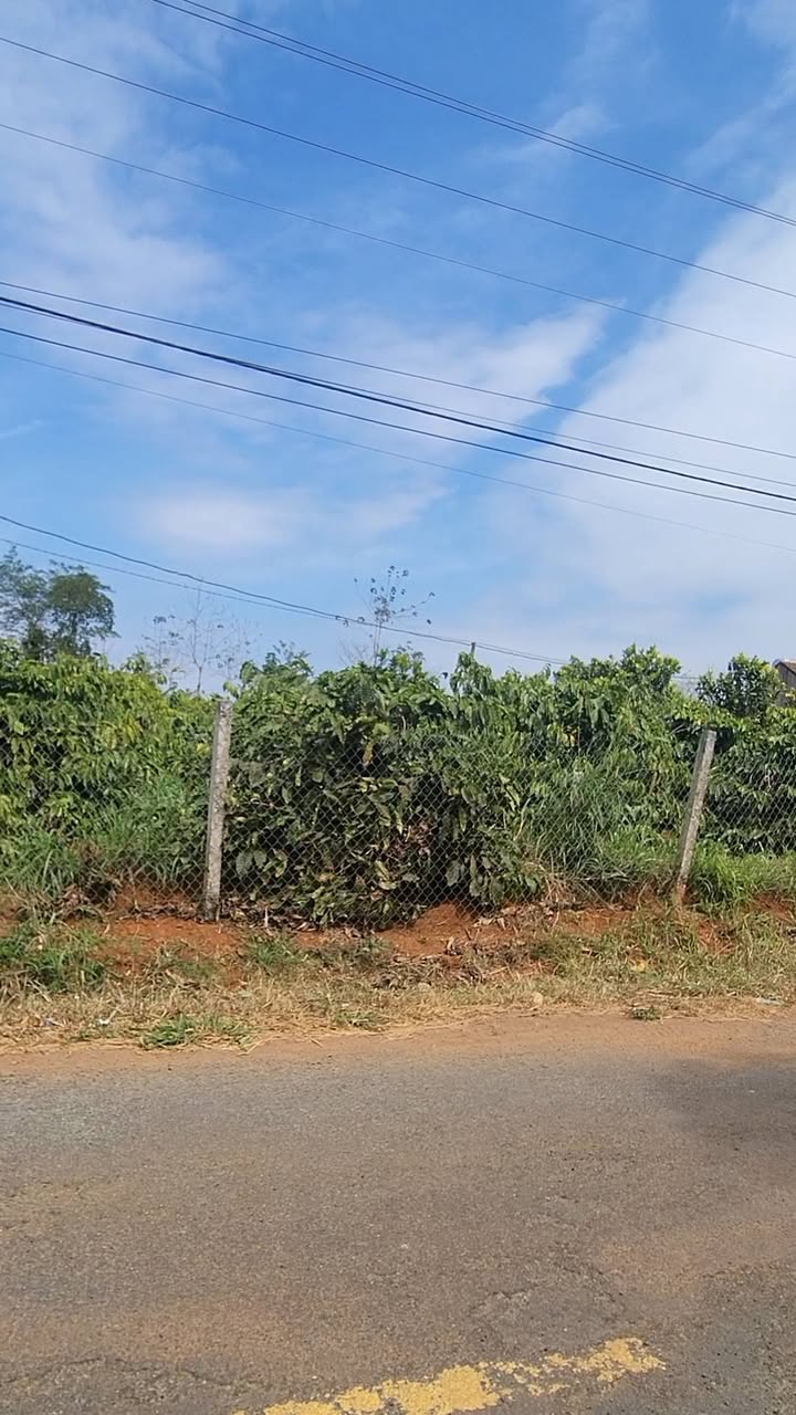 Đất nền 1000m² tại Đắk N'Dung, Đắk Song giá 60 triệu - Tiềm năng phát triển kinh tế gia đình!