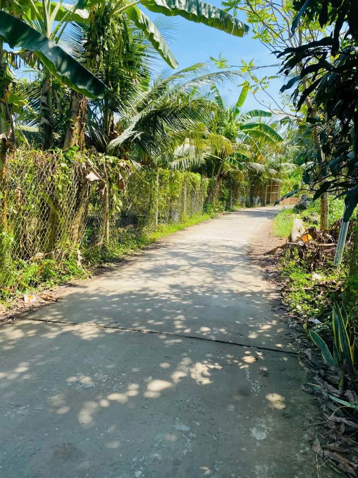 Nhà và đất 500m² tại Xã Thành Triệu, Huyện Châu Thành, giá chỉ 1.1 tỷ - Cơ hội đầu tư tuyệt vời!