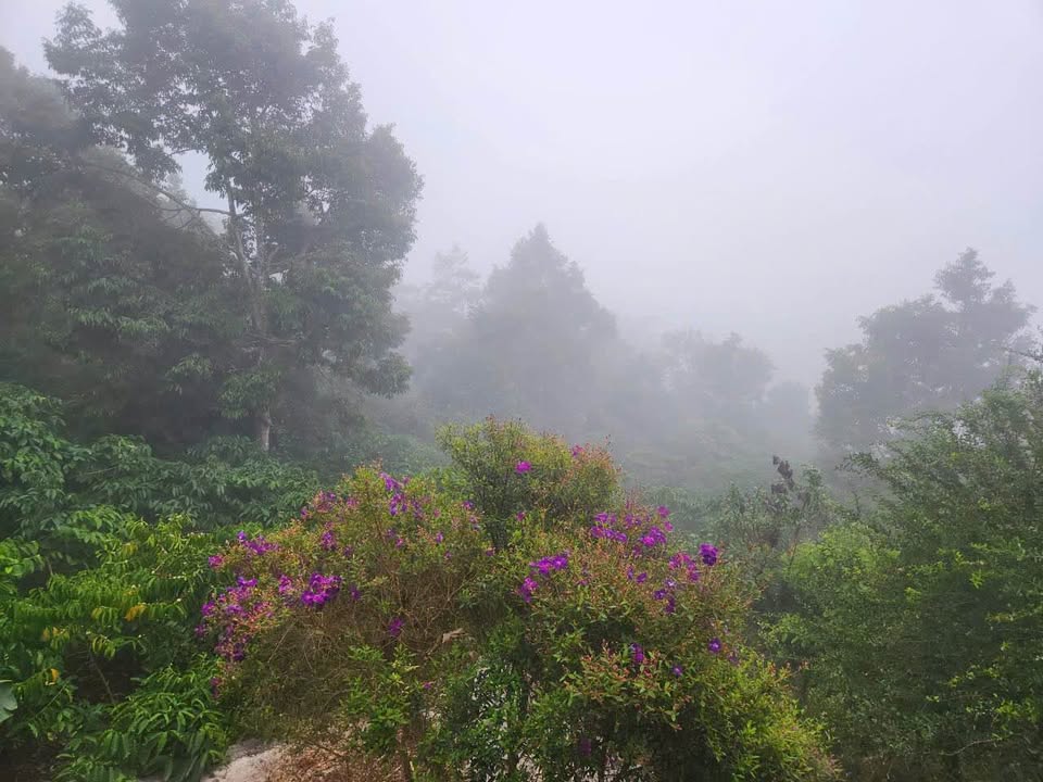 Nhà cho thuê 68 Hoài Thanh, Phường Lộc Sơn, 500m² - Nhà gỗ Tây Bắc đẹp mắt!