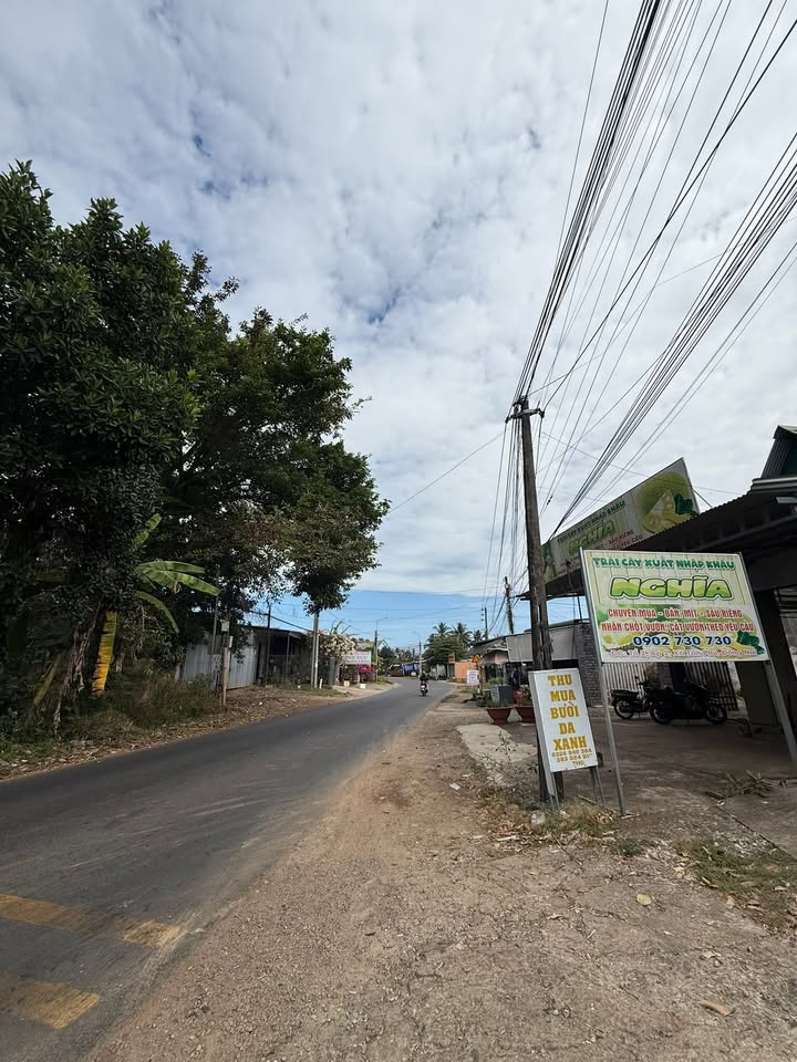 Đất nền mặt tiền đường nhựa Trà Cổ - Tân Phú 245m² giá 1.3 tỷ - Cơ hội đầu tư tuyệt vời!