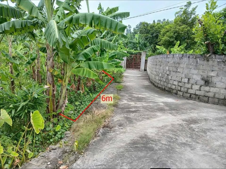 Đất nền 100m² TDP Bắc, phường Lưu Kiếm, giá đầu tư - Sẵn sàng cho bạn!