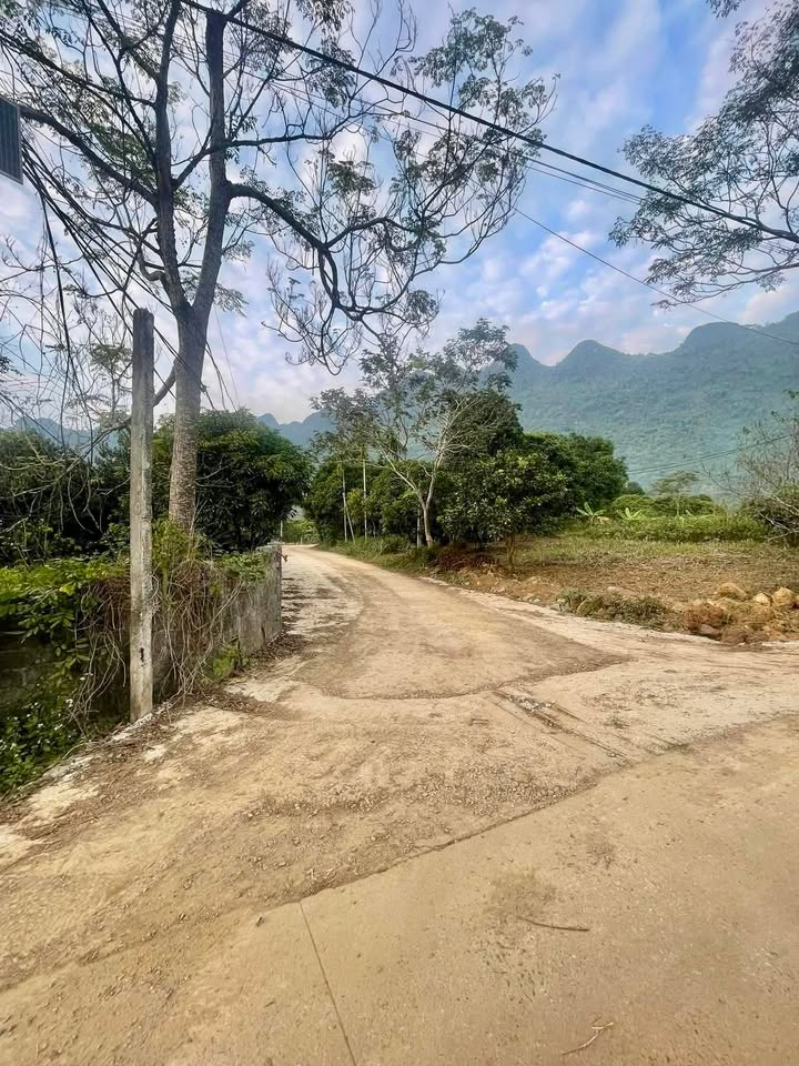 Bán Đất Vườn Hà Giang 3040m² - Sổ Đỏ Chính Chủ, Giá Tốt