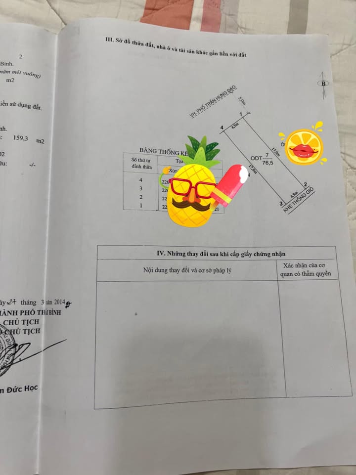 Bán đất mặt đường Trần Hưng Đạo, Thái Bình 76.5m² - Cơ hội vàng đầu tư!