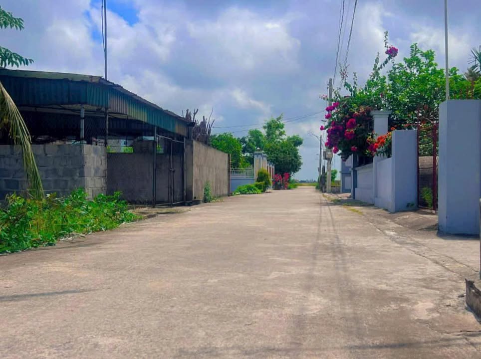 Đất nền liền kề Đông Long, Tiền Hải 98m² giá chỉ 500 triệu - Cơ hội đầu tư tuyệt vời!