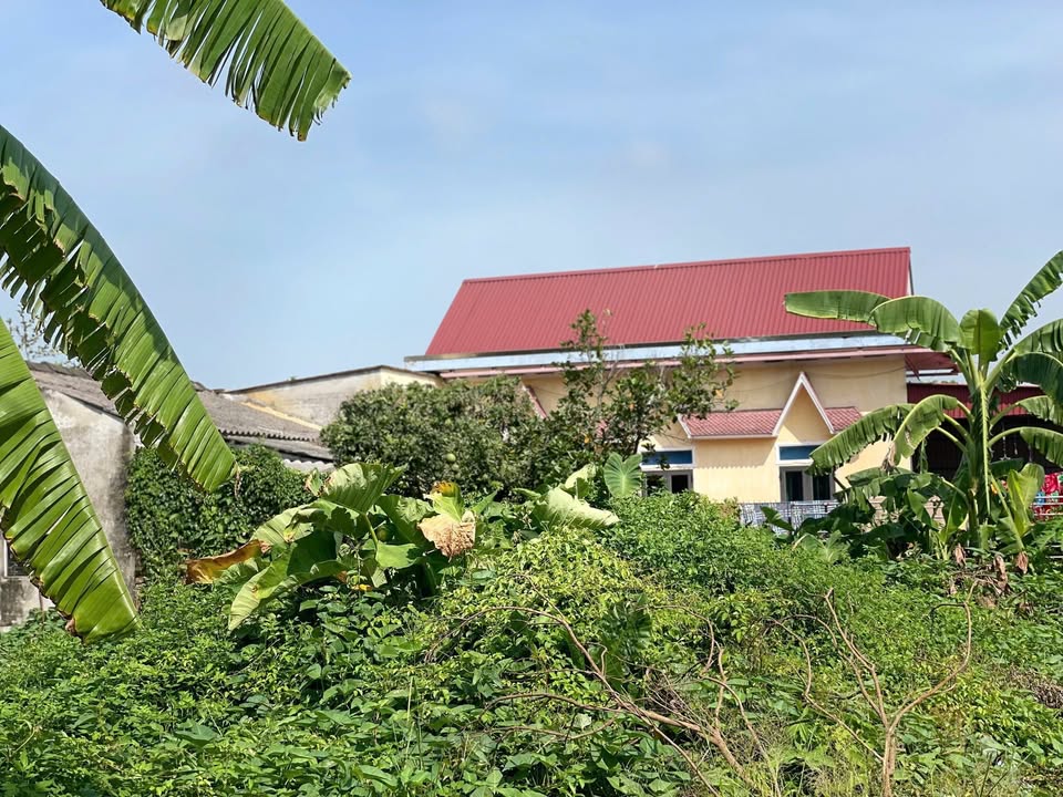 Đất nền góc 2 mặt tiền xã Quỳnh Hội, 251m² - Giá đầu tư hấp dẫn!