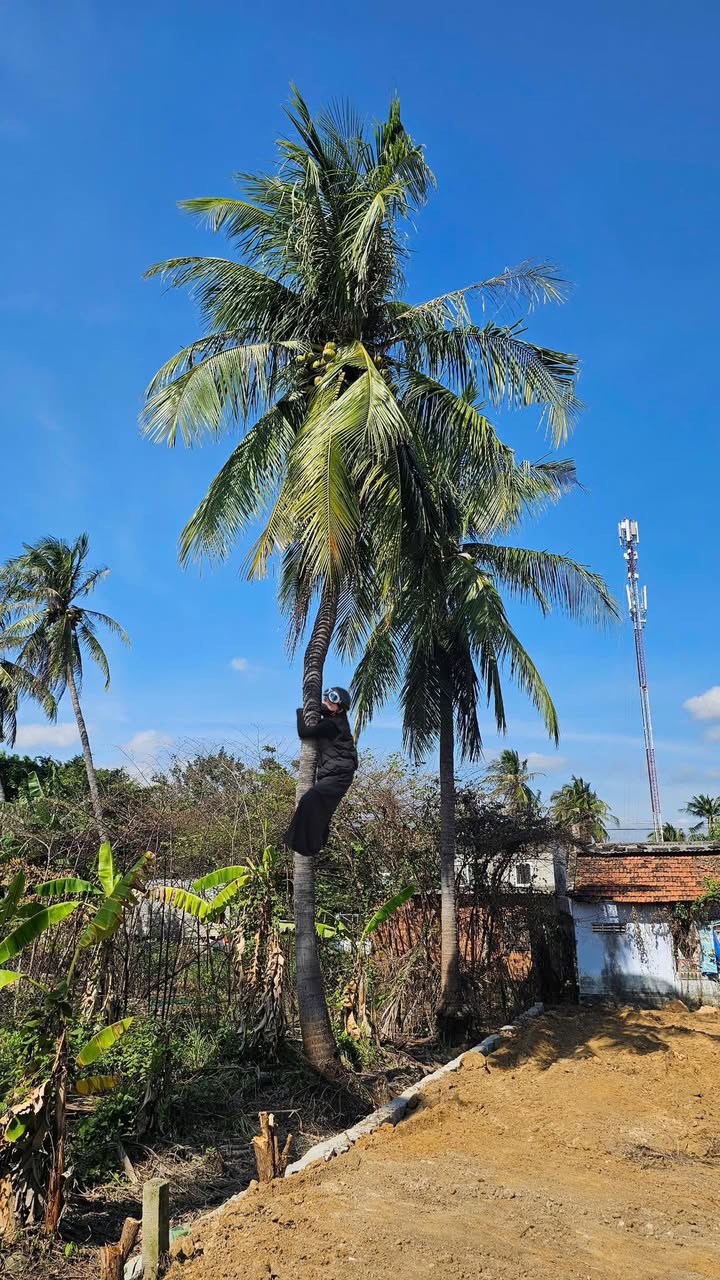 Đất thổ cư Vạn Bình, Khánh Hòa 93.3m² giá 370 triệu - Cơ hội đầu tư tuyệt vời!