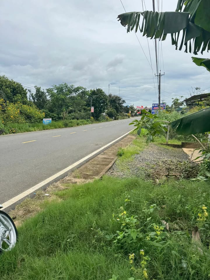 Đất mặt đường Hòa Nam, 920m², giá thỏa thuận - Đầu tư sinh lời!