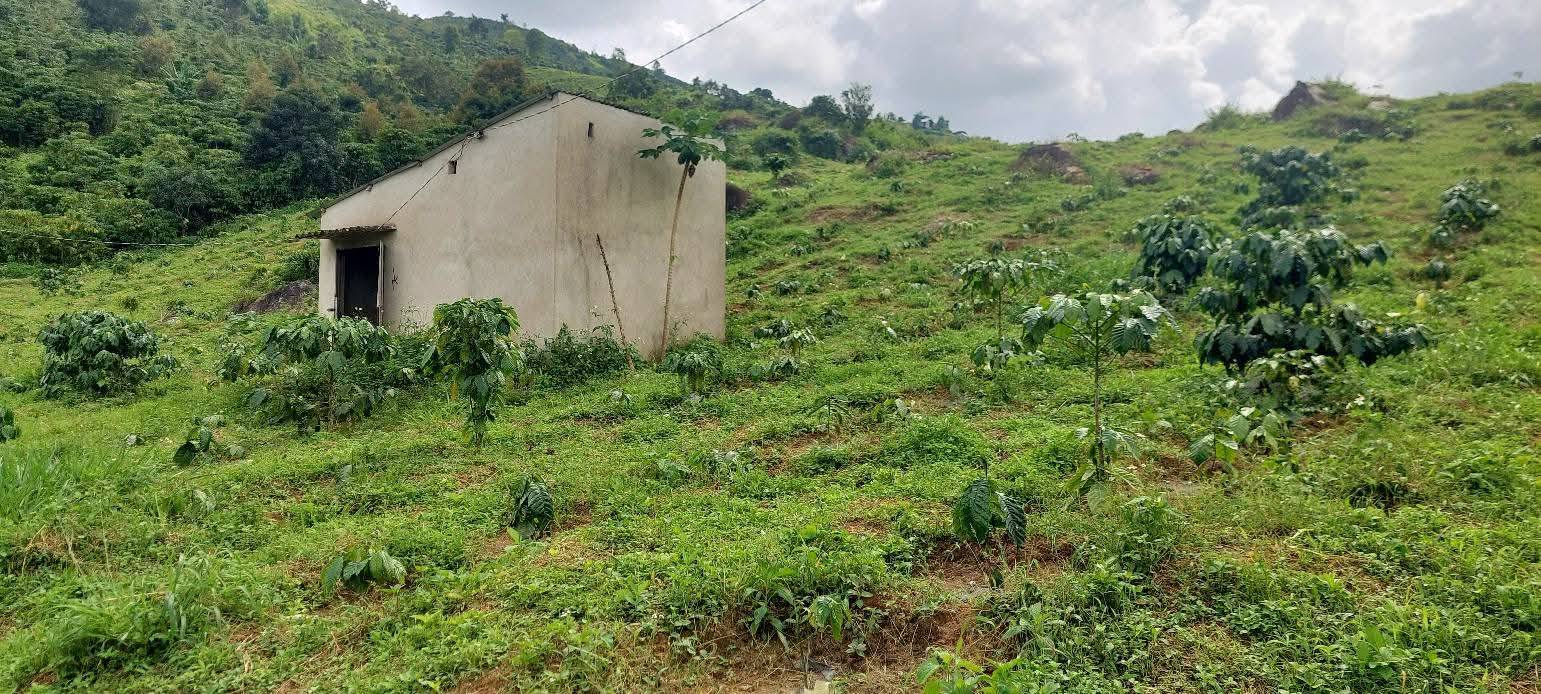 Đất vườn thôn Tiền Yên, Lộc Đức, Bảo Lâm 1.2ha giá 3.168 tỷ - Sổ đỏ chính chủ, thương lượng tốt!