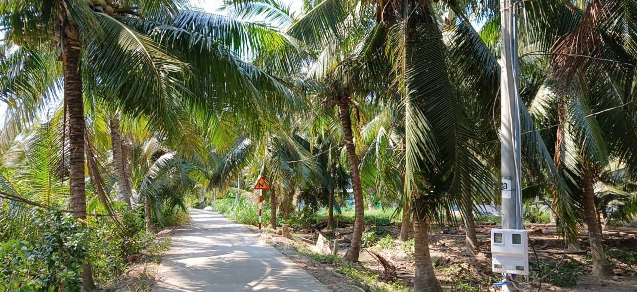 Đất vườn 1.000m² tại xã Quới Điền, huyện Thạnh Phú, Bến Tre - Giá chỉ 960 triệu!