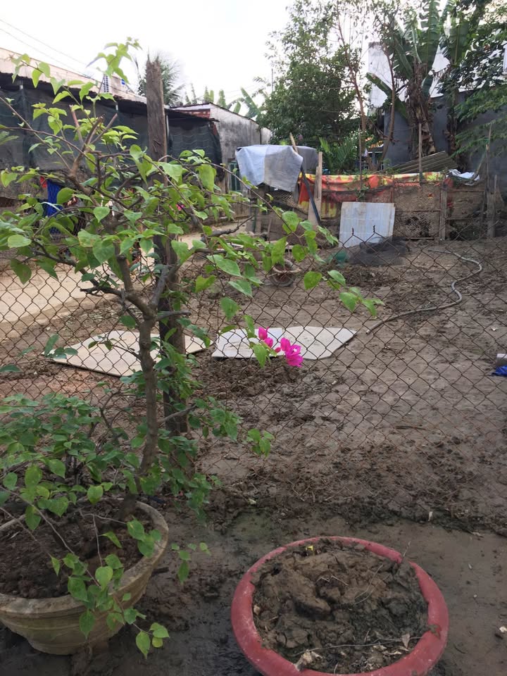 Đất thổ cư thôn Đông, Vĩnh Phương 60.5m² giá 1.45 tỷ - Đường ô tô thông thoáng!