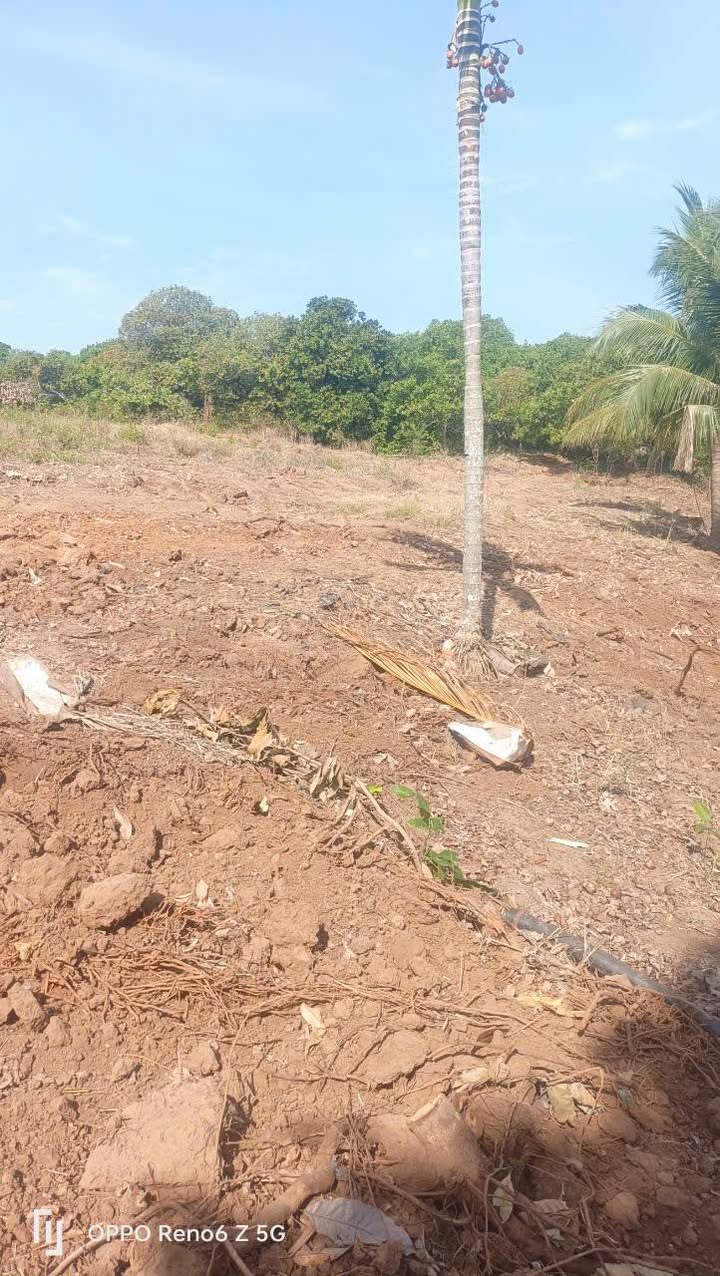 Đất Farm 3ha xã Ea Lê, huyện Ea Súp, Đắk Lắk giá 1.35 tỷ - Cơ hội đầu tư hấp dẫn!