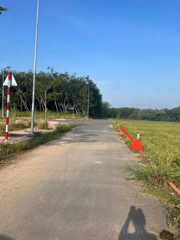 Bán Đất Nền Dự án Toàn Phát, Bến Cát - 175m² Giá 1.0xx Tỷ