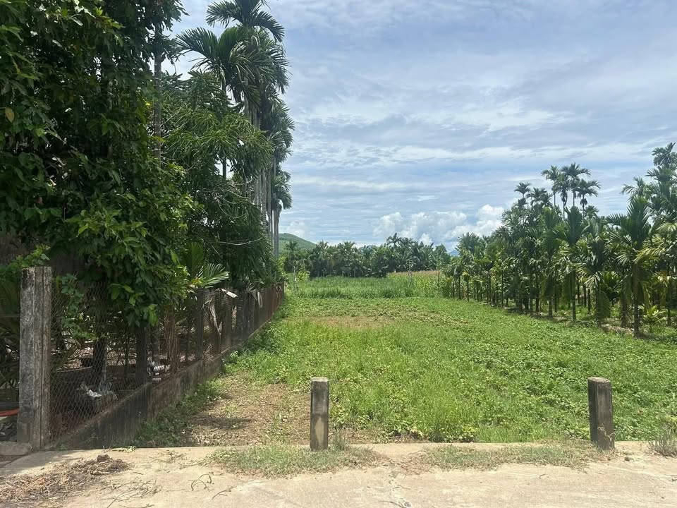 Đất nền An Hà 1, Xã Nghĩa Hòa, 100m² giá 300 triệu - Cơ hội đầu tư nhanh chóng!