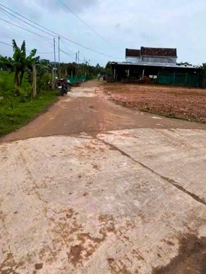 Đất nền góc biệt thự Đức Chánh, Mộ Đức 290m² giá 700 triệu - Cơ hội đầu tư tuyệt vời!