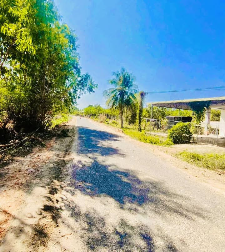 Đất nền 1000m² đường nhựa thông Xã Phước Vinh - Giá 189 triệu, cơ hội đầu tư tuyệt vời!
