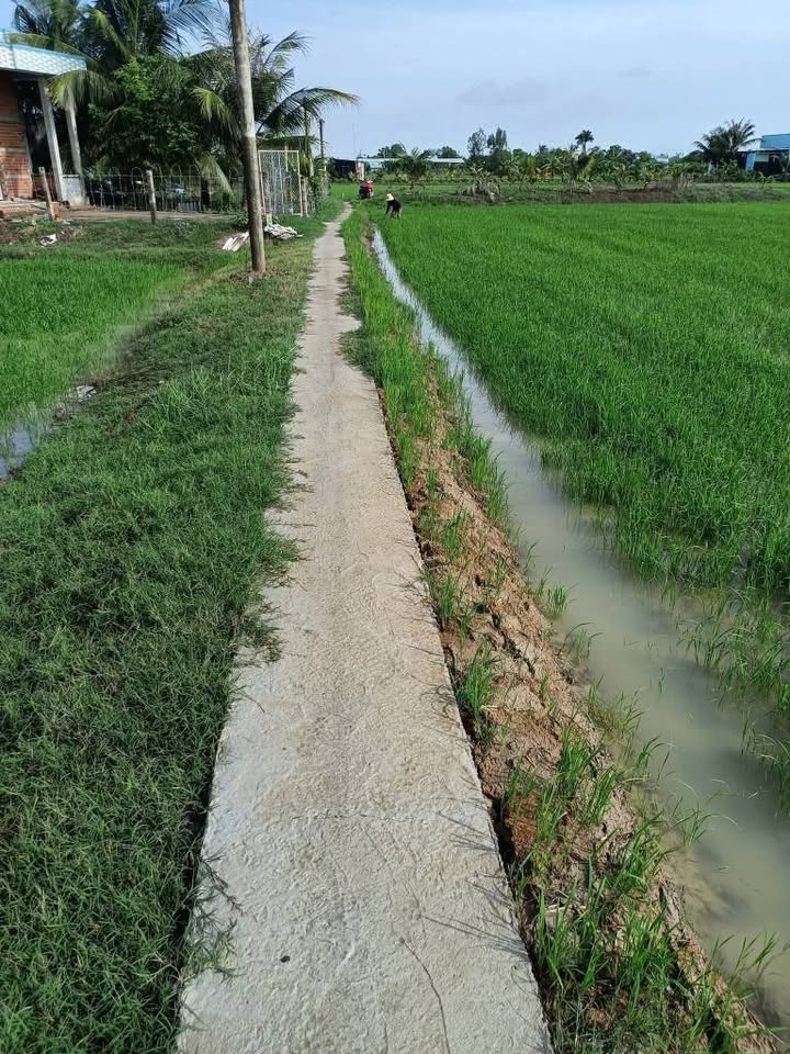 Đất nông nghiệp xã Long Hựu Đông, Cần Đước 2040m² giá 856.8 triệu - Đầu tư sinh lời ngay!