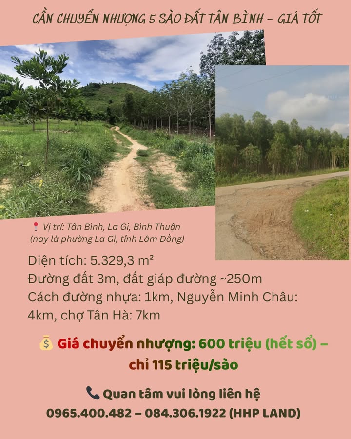 Bán Gấp 5.3 Sào Đất Trồng Cây Lâu Năm La Gi, Bình Thuận - Giá Tốt