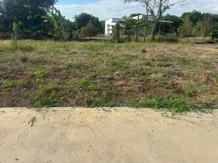 Đất nền mặt tiền đường bê tông Huyện Nhà Bè 200m² giá 390 triệu - Cơ hội đầu tư hấp dẫn!