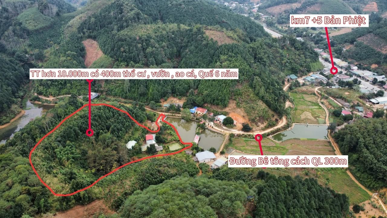 Trang trại Bản Phiệt Lào Cai 10.000m² giá thỏa thuận - Thiên đường cuối tuần cho gia đình!