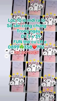 Đất nền liền kề Đường Liên Huyện An Khê 195m² giá chỉ 160 triệu - Cơ hội đầu tư hấp dẫn!