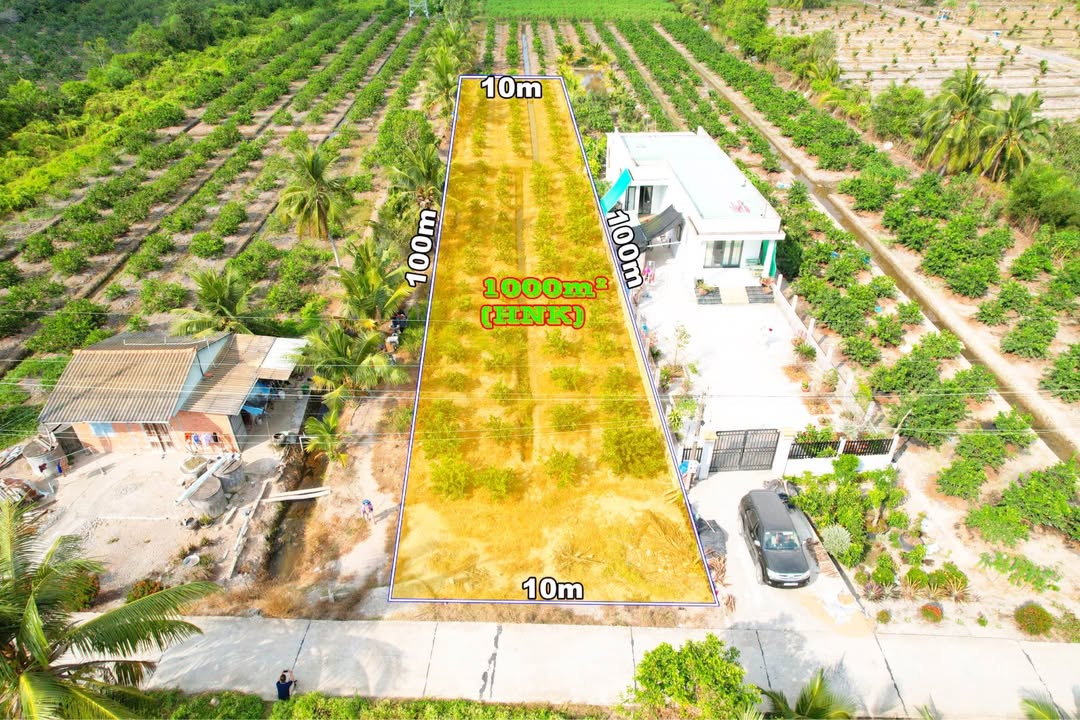 Đất vườn mặt tiền Đan Ba Vồn Lớn, Thạnh Hòa, 1000m² - Đầu tư sinh lời hiếm có!