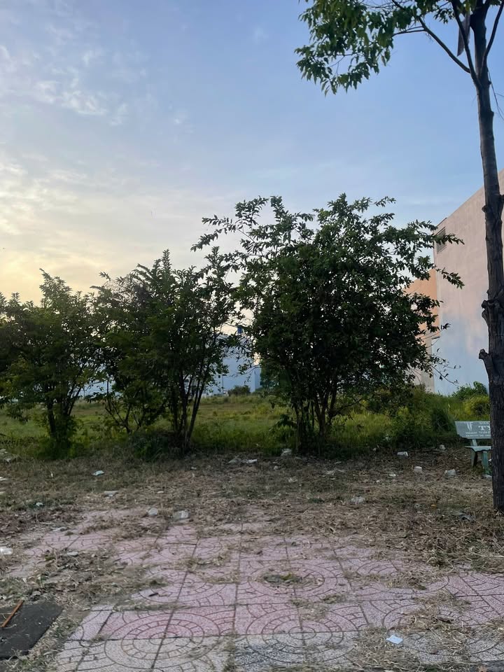 Đất thổ cư mặt tiền Đường D5, Tân An, 125m² giá 9 tỷ - Cơ hội đầu tư tuyệt vời!