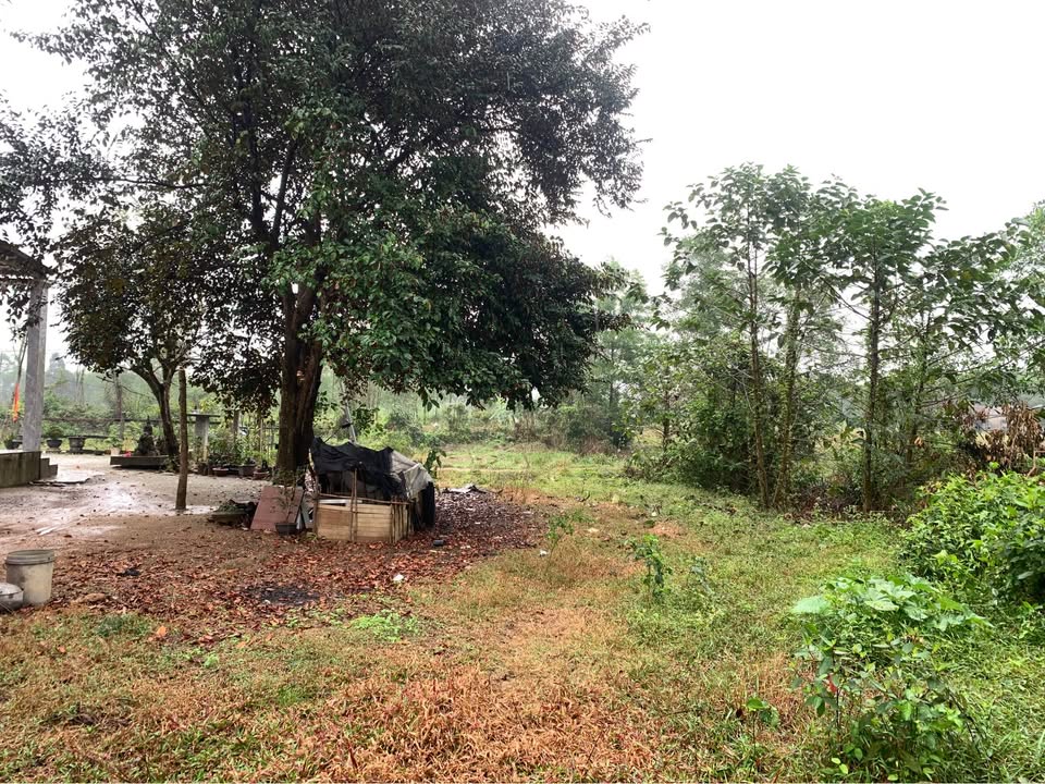 Đất nền Phong Xuân 179m² giá 260 triệu - Sổ đỏ chính chủ!