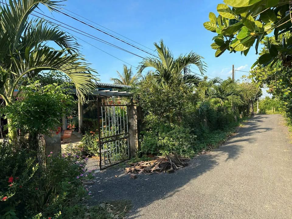 Đất Láng Biển Tháp Mười 4200m² giá 1.39 tỷ - Mặt tiền đường nhựa rộng 20m