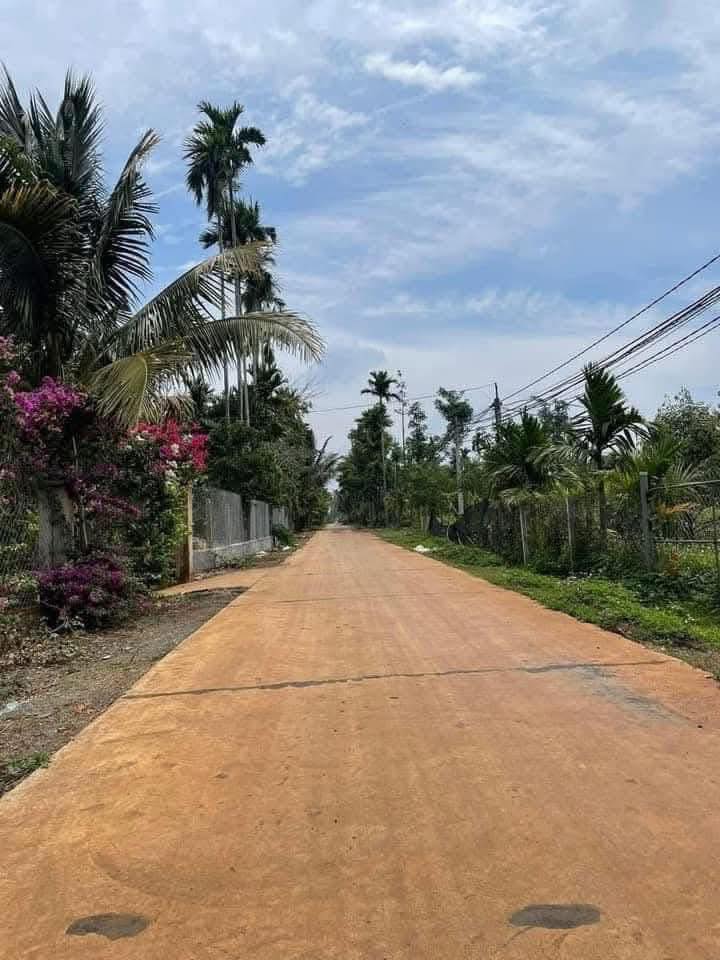 Đất thổ cư Thôn 6, Xã Ea Ktur, 300m² giá 1.2 tỷ - Cơ hội đầu tư tuyệt vời!